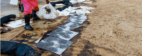 The most effective oil absorbent for Dealing with oil spills 